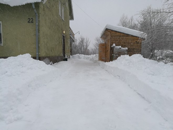 Skottningsresultatet