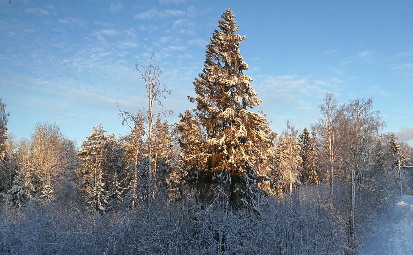 Lugnet efter stormen/Calm after the&nbsp;storm