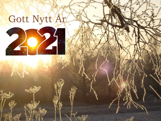 Gott nytt år 2021