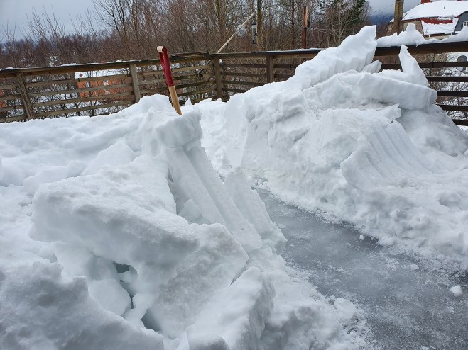 En gång genom snön