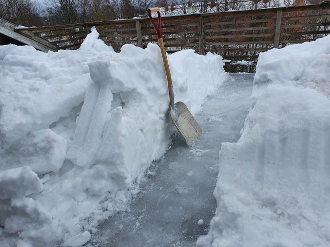 En gång genom snön