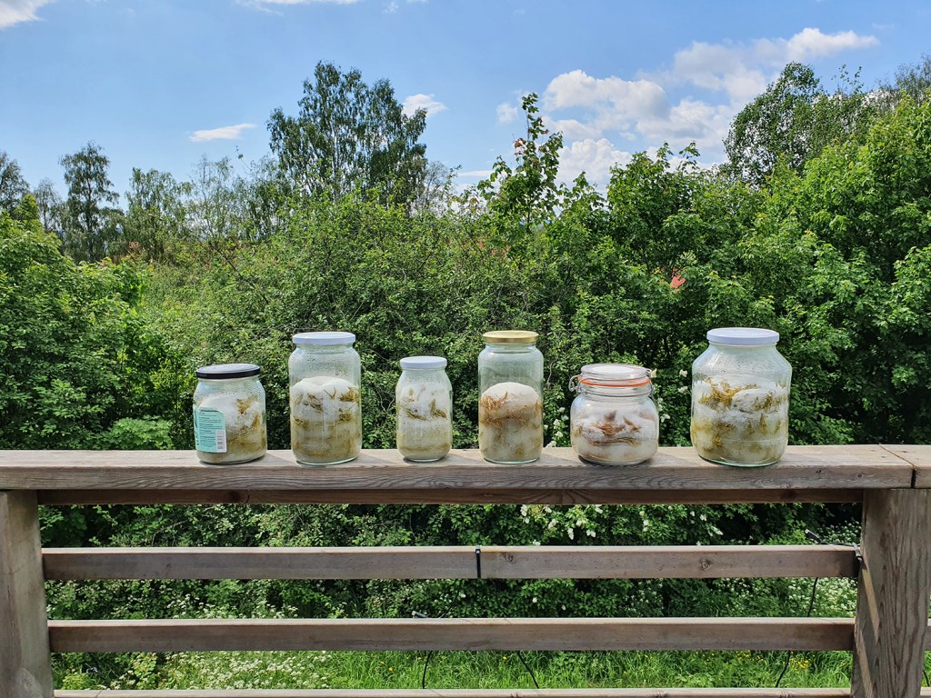 Burkar med granskottssirap