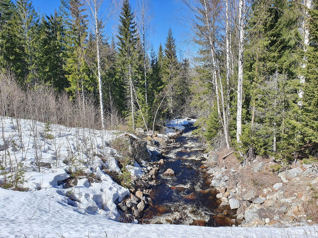Porlande vårbäck.