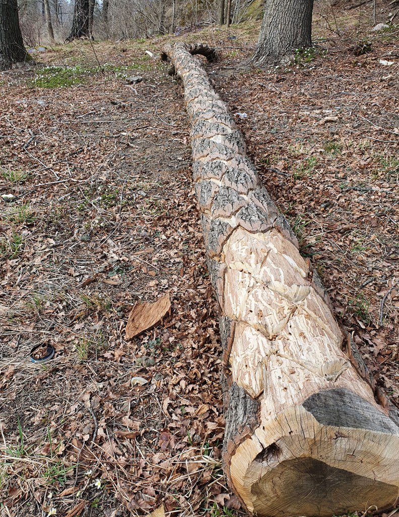 Stock med "diamantmönster". Log with "diamond pattern".