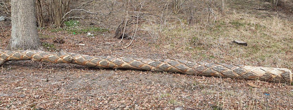 Stock med "diamantmönster". Log with "diamond pattern".