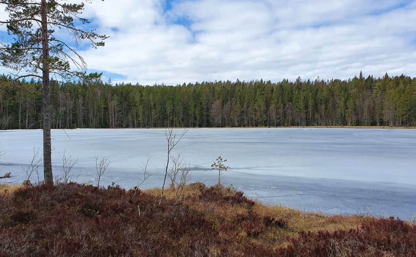 Misslyckad utflykt/Unsuccessful excursion