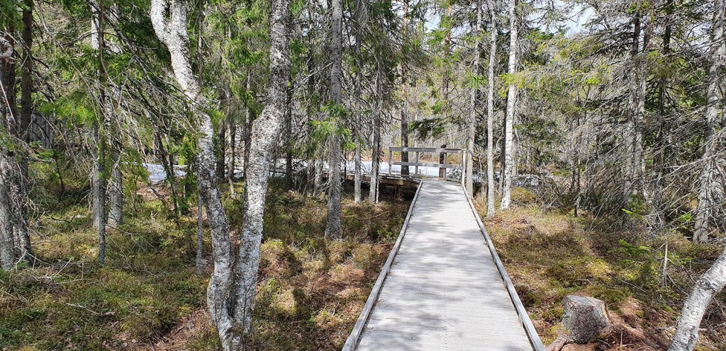 Trädäck på Rotsidan.