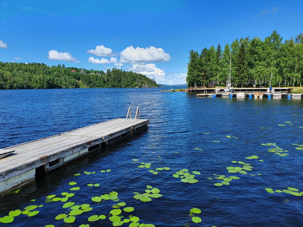 Utsikt från bryggan.