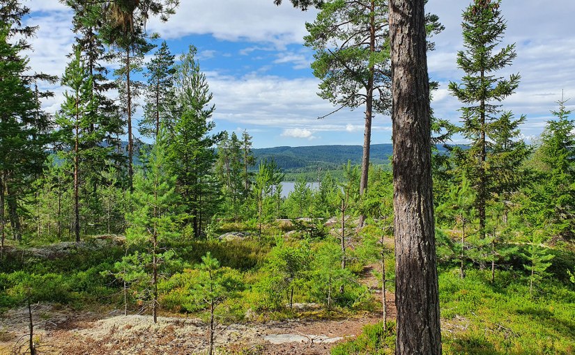 Tur till Häxberget, Torsåker/Trip to Witch Mountain,&nbsp;Torsåker