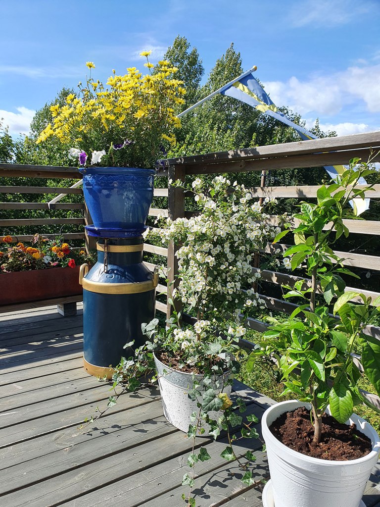 Blommor på altanen.