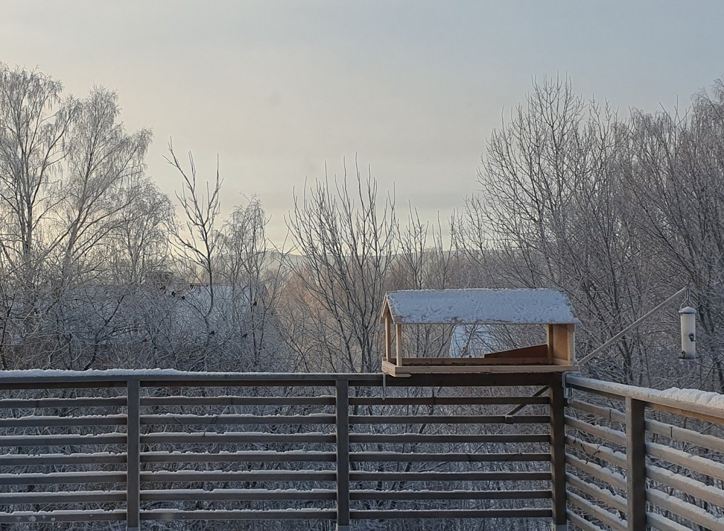 Fågelbordet sett inifrån.