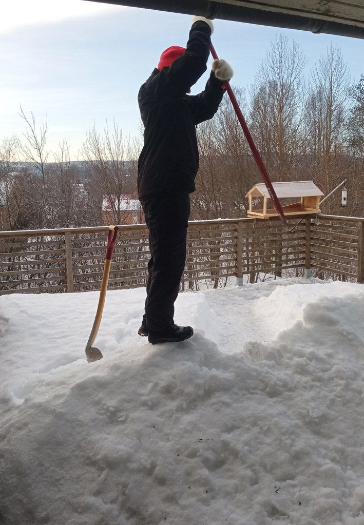 Ylva spettar isvall.