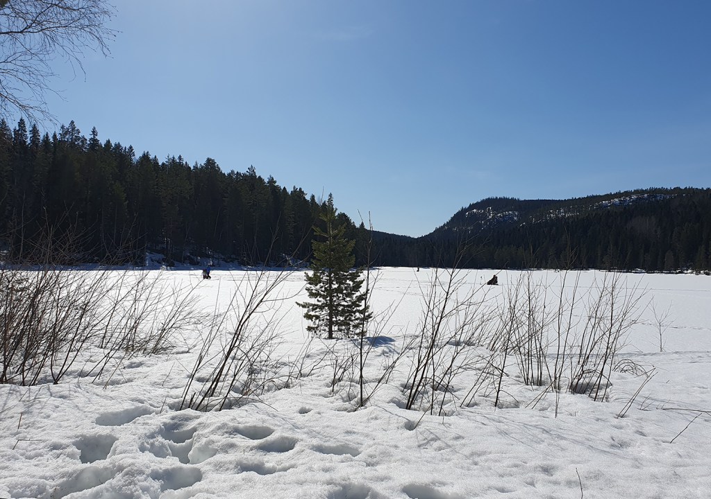 Fiskare på Icktjärns is