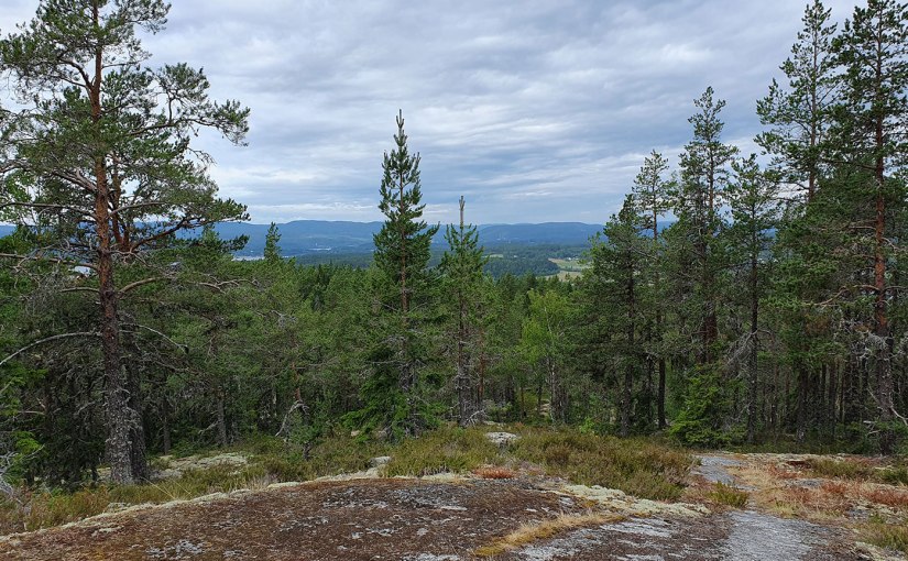 Vandringstips, Bergsviksberget/Hiking tips,&nbsp;Bergsviksberget