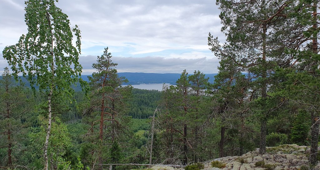 Utsikten från toppen.