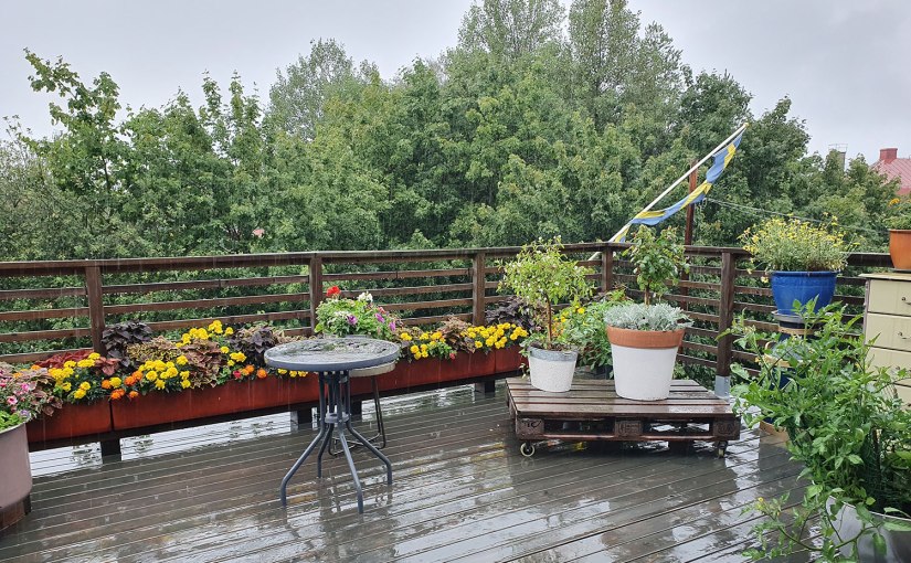 Det regnar!/It rains!