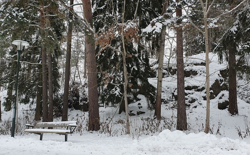 Vinter i Stockholm/Winter in&nbsp;Stockholm