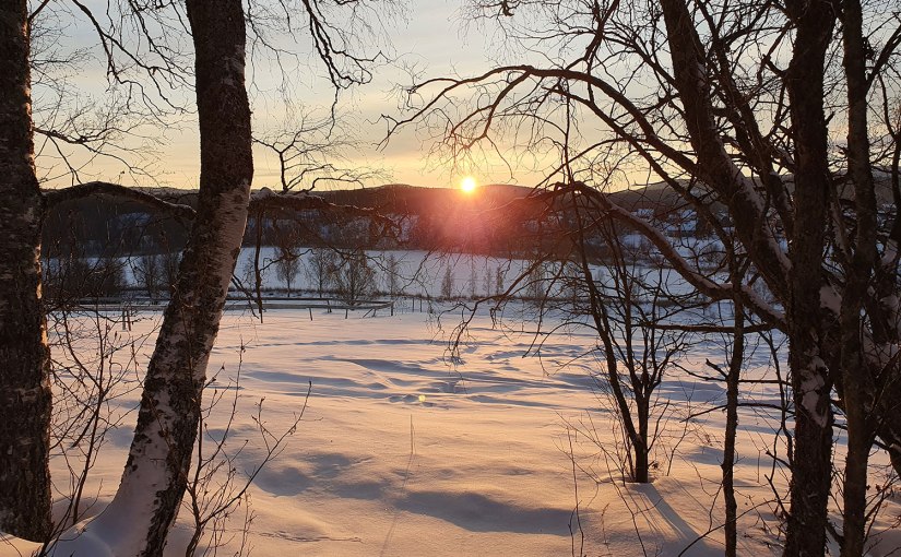 Julaftonspromenad/Christmas Eve walk