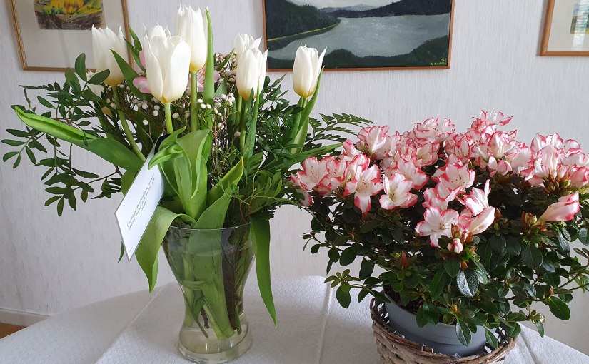 Födelsedagsfirande/Birthday celebration