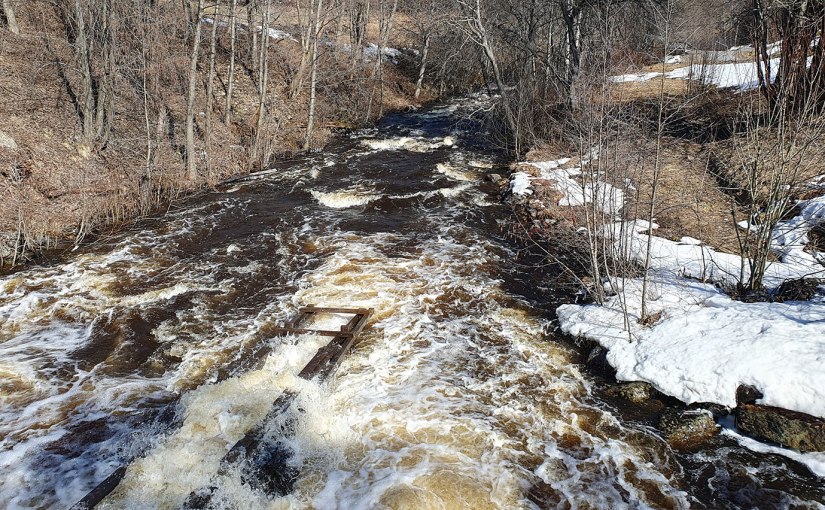 Vårtecken/Spring signs