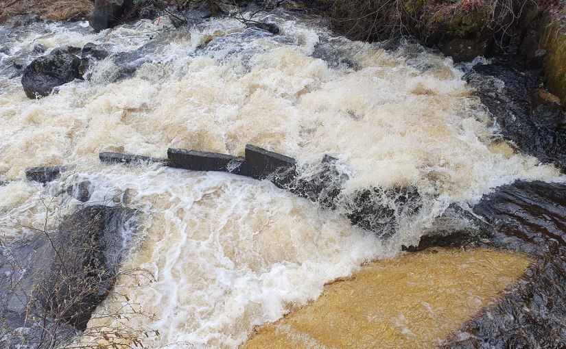 Högt vatten/High water