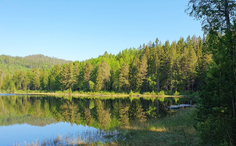 Några rundor runt Icktjärn/A few laps around&nbsp;Icktjärn