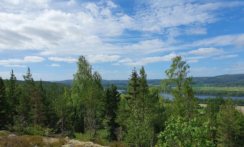 Utsikt neråt älven.