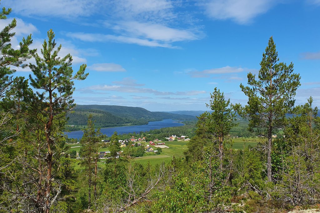 Utsikt uppåt älven.