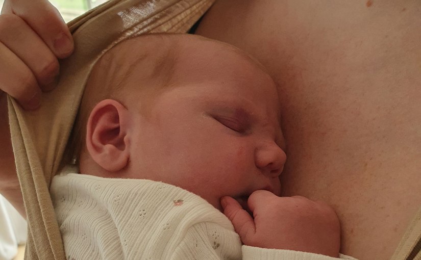 En alldeles ny familjemedlem/A brand new family&nbsp;member