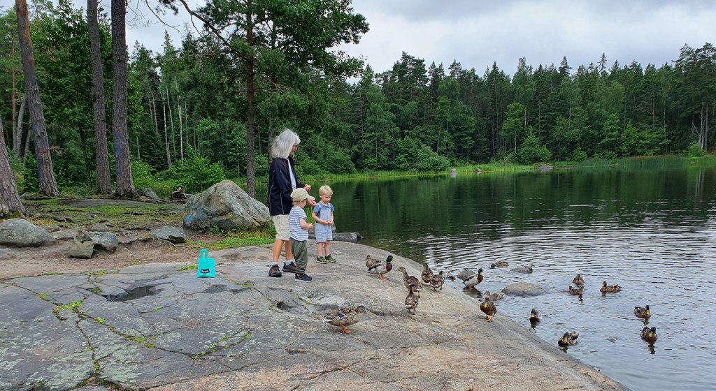 Ylva, Kasper, Nils och gräsänder.