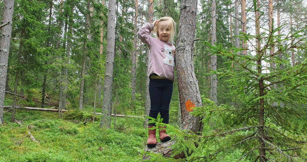 Ebba i krokiga trädet.