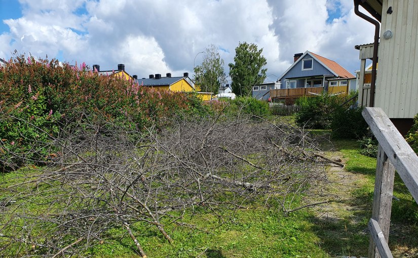 Ett dött körsbärsträd har gjort sitt/A dead cherry tree has done its&nbsp;job