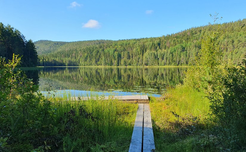 Promenad till Icktjärn, många grodor/Walk to Icktjärn, lots of&nbsp;frogs