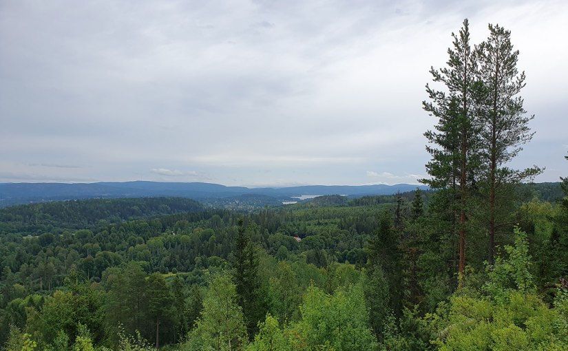 Toppen på/The top of&nbsp;Latbergsbacken