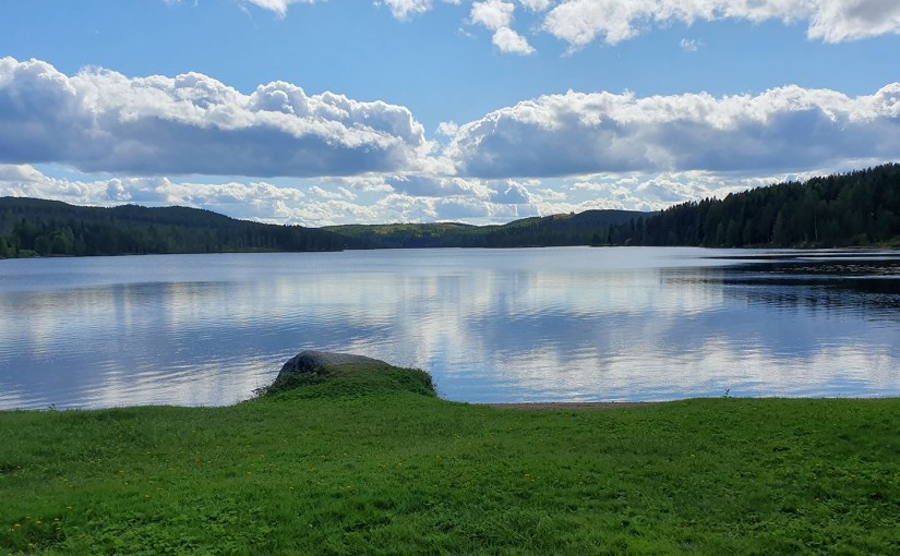 Efter blåbären, plan B/After the blueberries, plan&nbsp;B