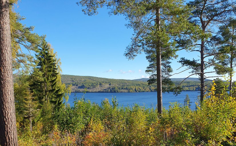 En riktigt fin höstdag/A really nice autumn&nbsp;day